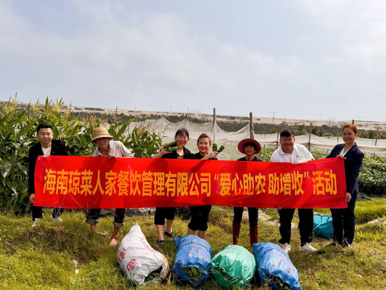 助力辣椒滞销