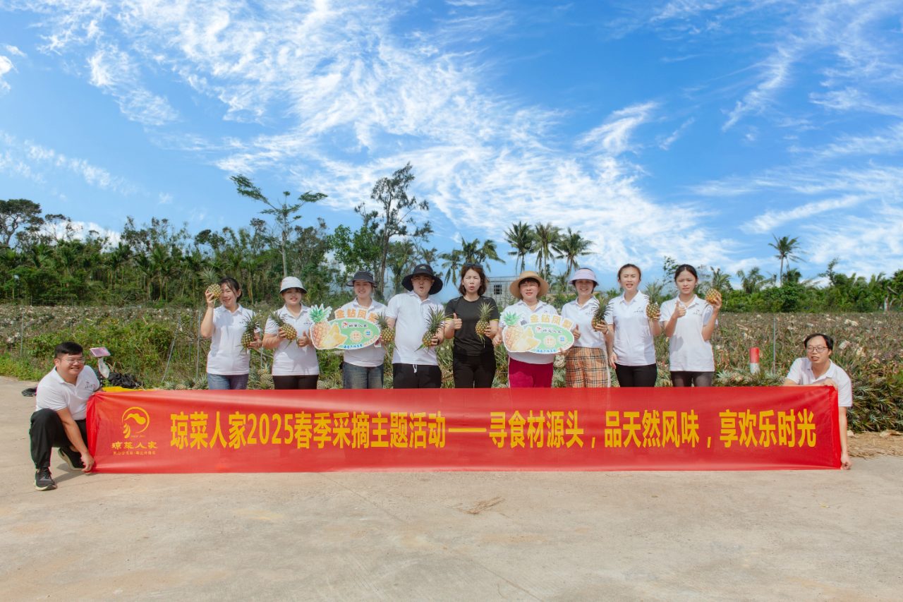 凤梨采摘活动(1)
